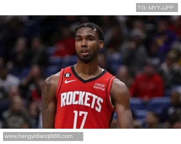 1月1日火箭对阵灰熊精彩比赛录像回放全程回顾与分析